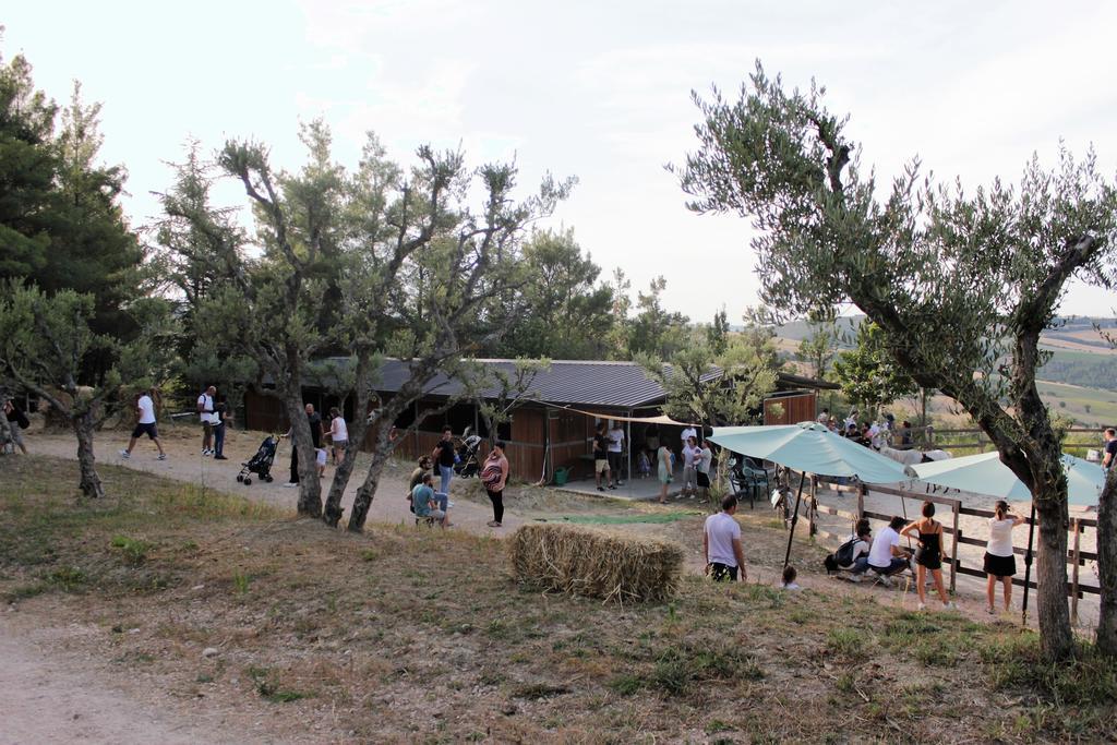 Tenuta Gran Bosco Loro Piceno Buitenkant foto