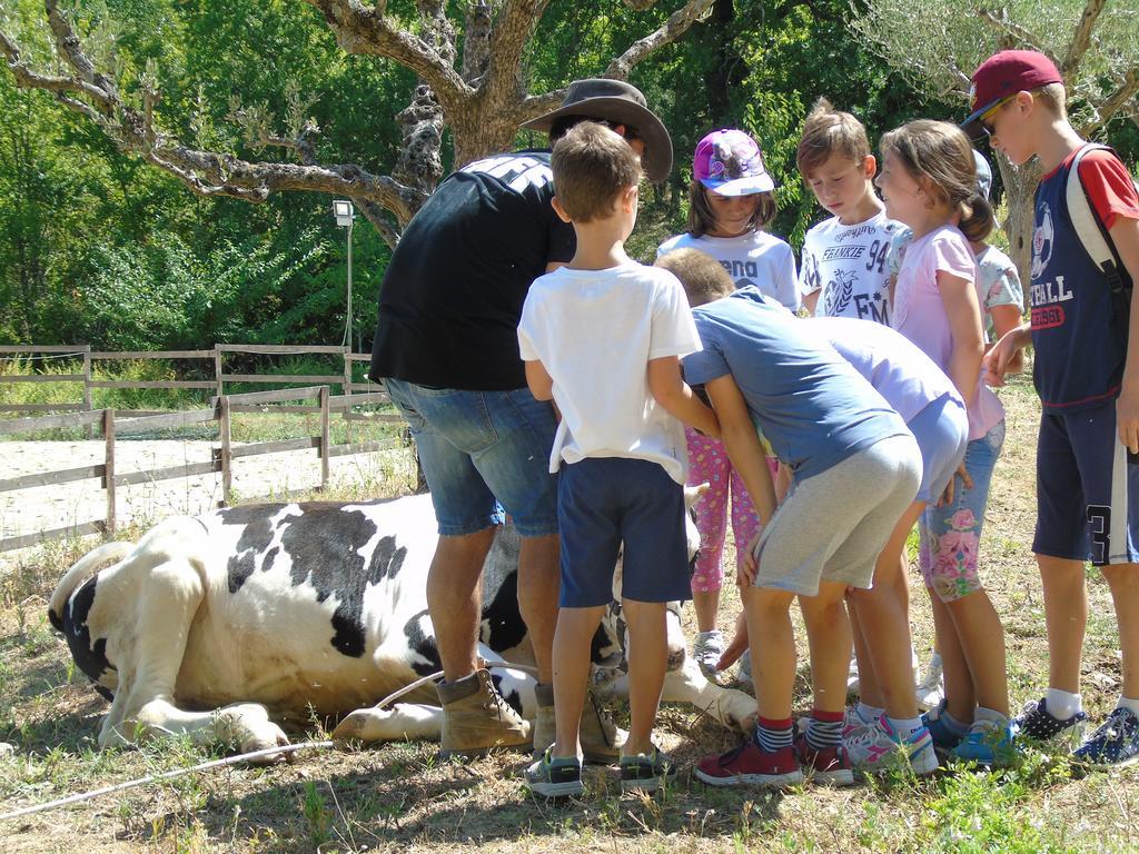 Tenuta Gran Bosco Loro Piceno Buitenkant foto