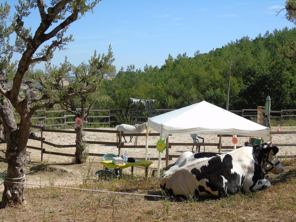 Tenuta Gran Bosco Loro Piceno Buitenkant foto