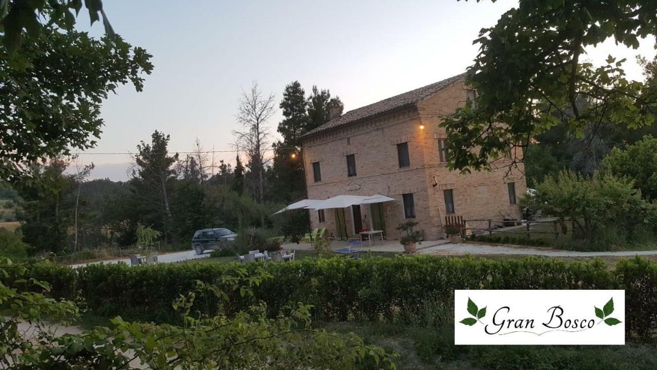 Tenuta Gran Bosco Loro Piceno Buitenkant foto