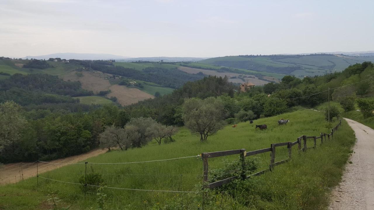Tenuta Gran Bosco Loro Piceno Buitenkant foto