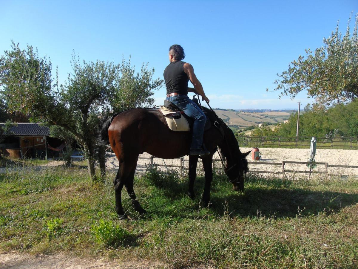 Tenuta Gran Bosco Loro Piceno Buitenkant foto